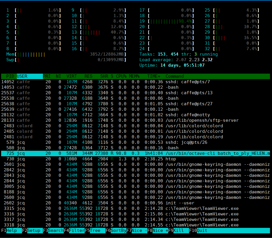 htop demo